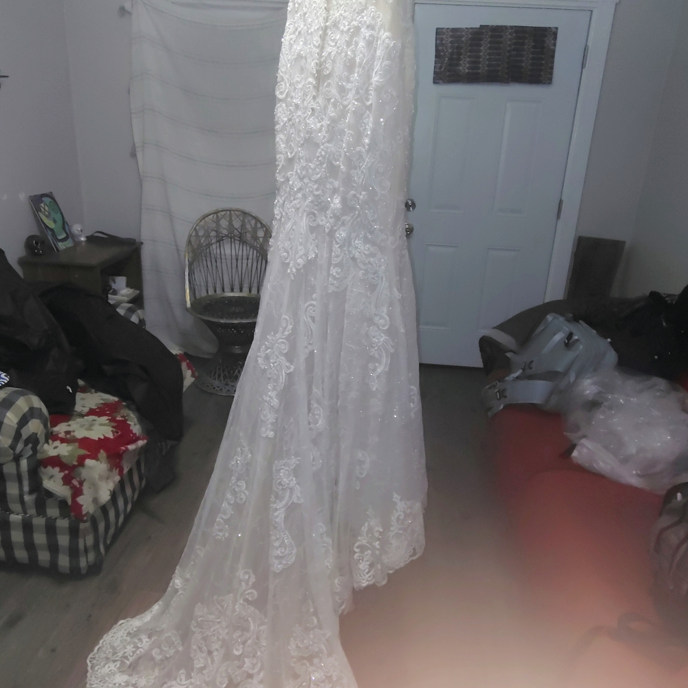 Elegant Cream Lace Wedding Dress - Picture 5 of 10